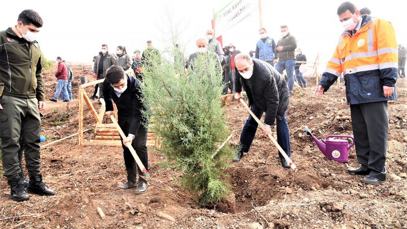 Dursunbey Çınar mahallesi bölgesinde oluşturulan ağaçlandırma  sahasında yüzlerce fidan ile toprakla buluştu.