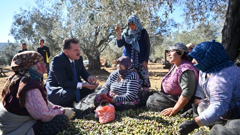 Başkan Yılmaz, zeytinin serüvenini anlattı