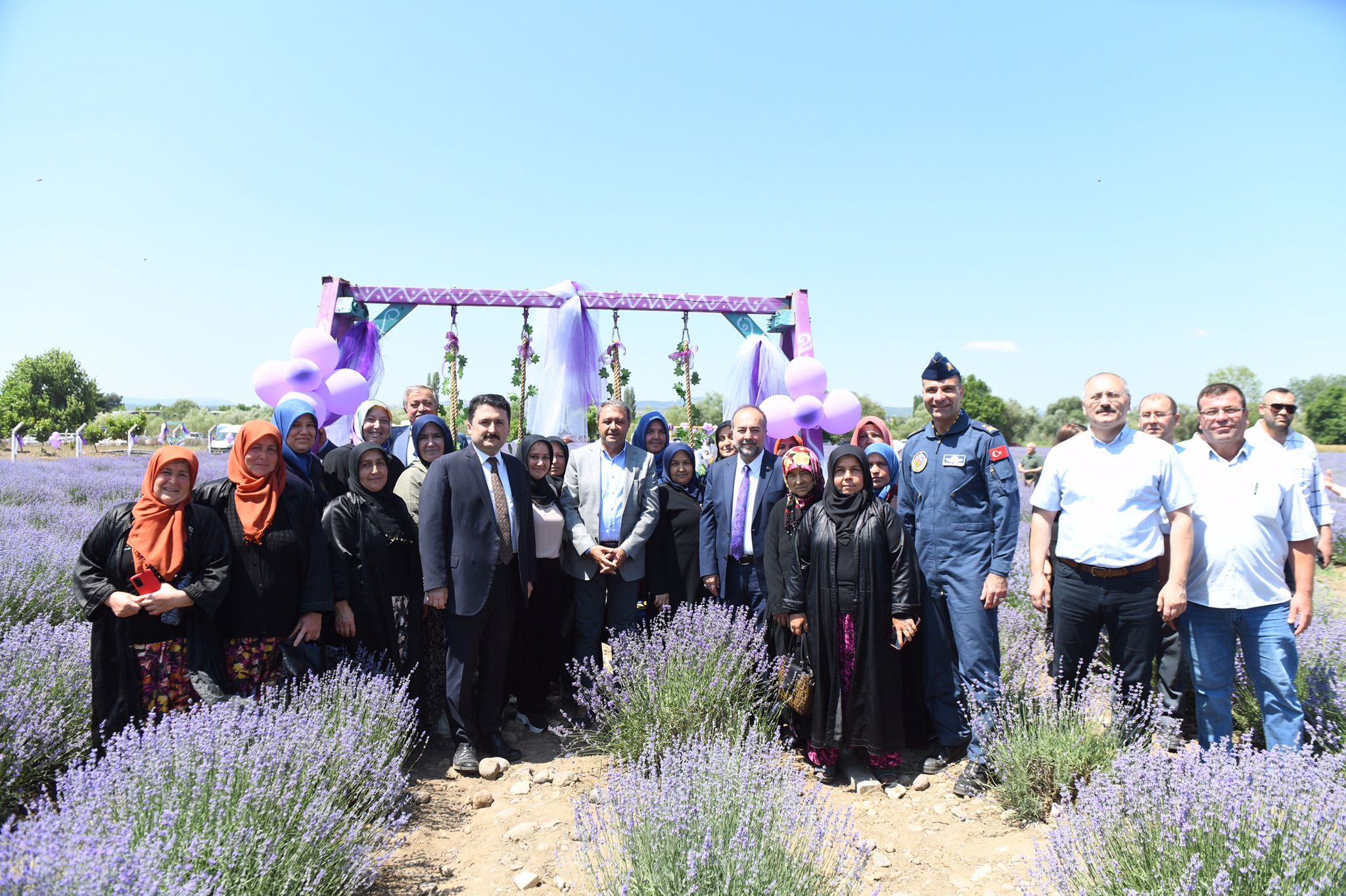 ALTIEYLÜL LAVANTA GÜNLERİ BAŞLADI