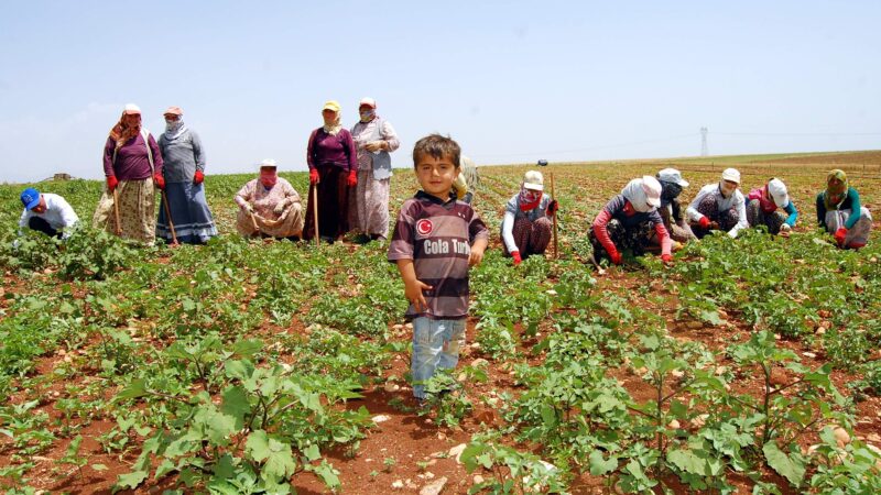14 Mayıs’ı “ Dünya Çiftçiler Günü Kutlu Olsun