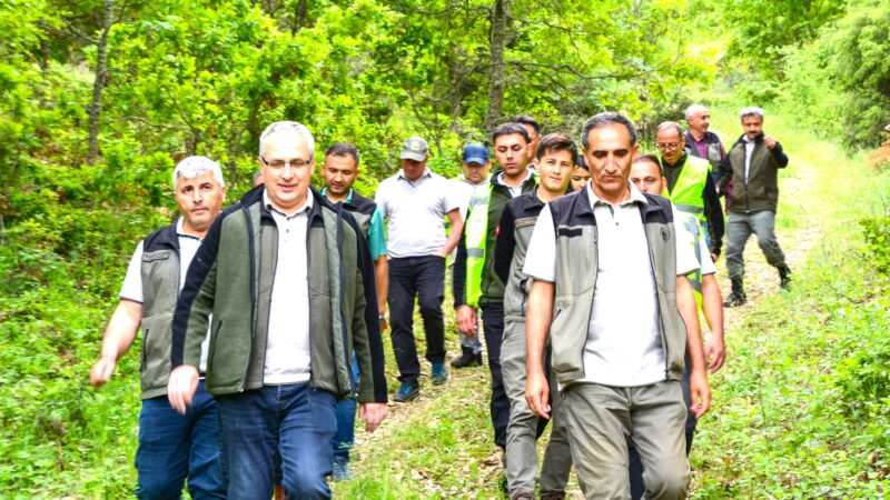 Dursunbey Palamut Dağı’ndaki Palamut Meşesi Ormanlarının Sürdürülebilirliğine Yönelik SahaÇalışması…