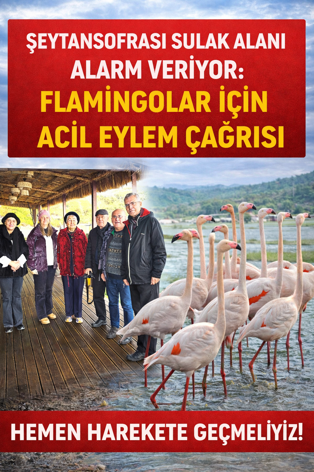 Şeytansofrası Sulak Alanı Alarm Veriyor: Flamingolar İçin Acil Eylem Çağrısı