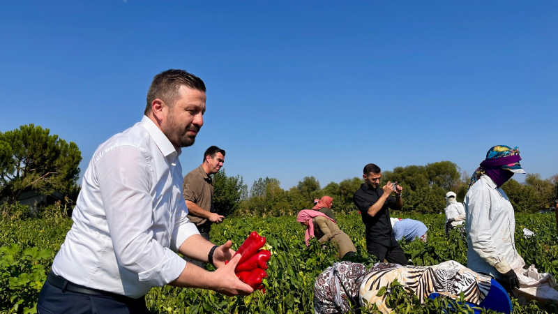 Balıkesir Tarımında Bayram Havası: 867 Milyon TL’lik Dev Destek Hesaplara Yatıyor!