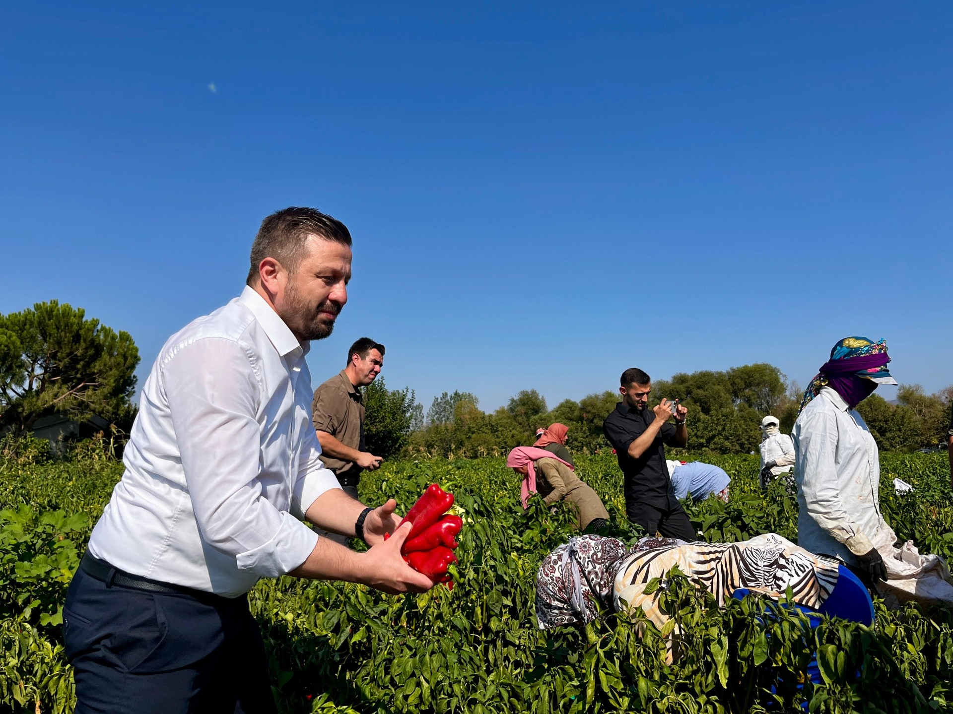 Balıkesir Tarımında Bayram Havası: 867 Milyon TL’lik Dev Destek Hesaplara Yatıyor!